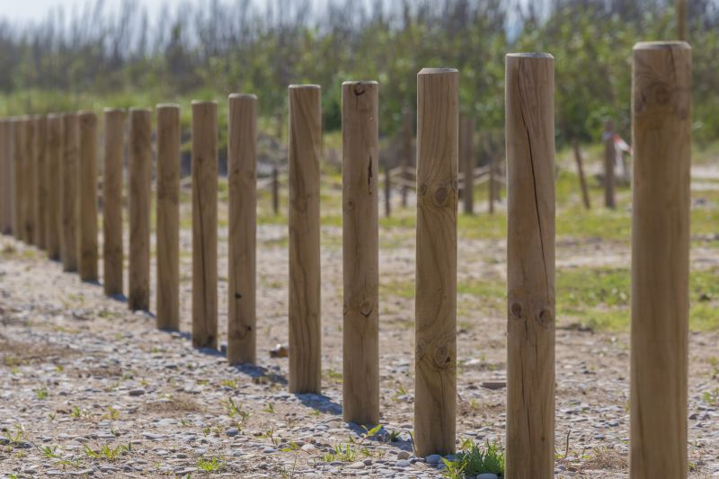Fence Posts and Caps