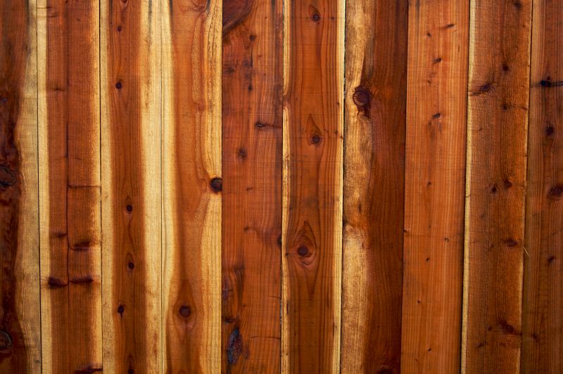 Close-up of Cedar Fence Surface